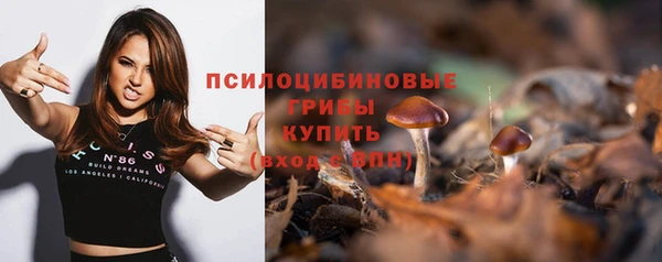гидропоника Белоозёрский